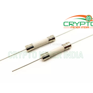 10A ceramic fuse (2Pcs)