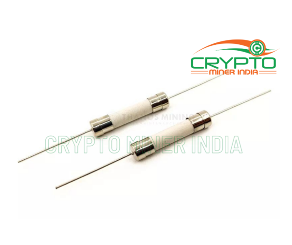 10A ceramic fuse